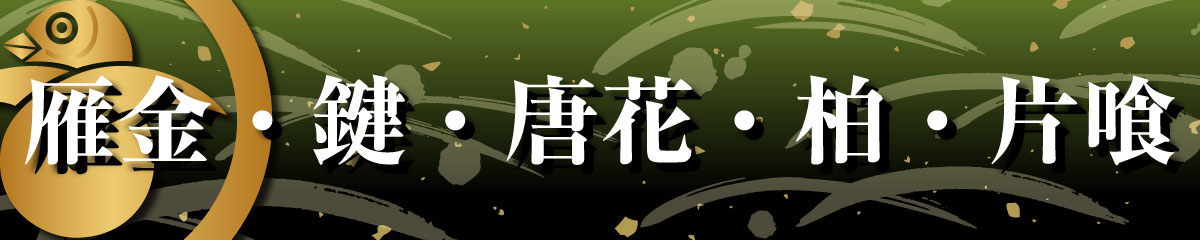家紋Tシャツ（雁金・鍵・唐花・柏・片喰）